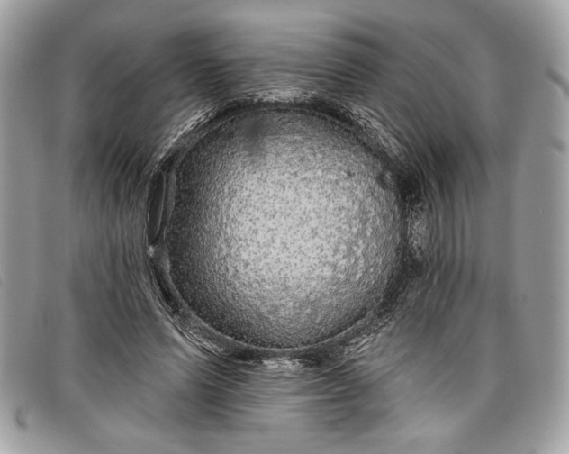 X0000098010591200804111235