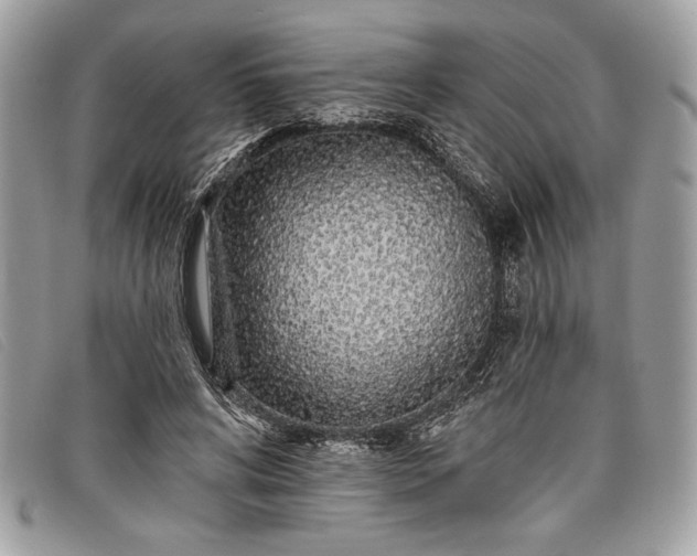 X0000098010592200804111235