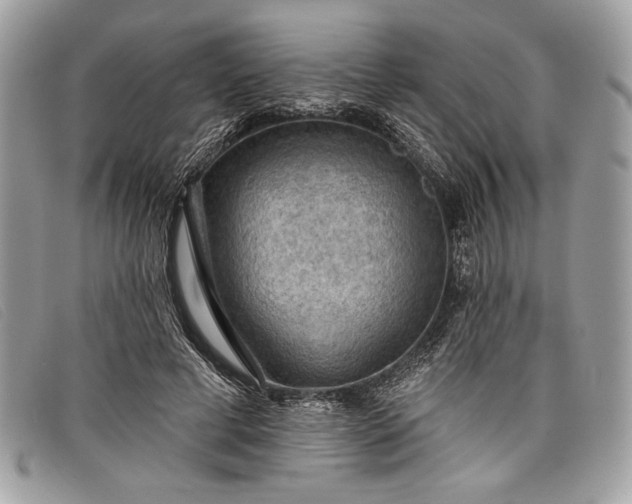 X0000098010593200804111235