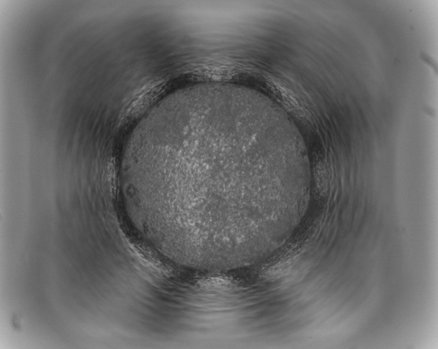 X0000098010594200804111235