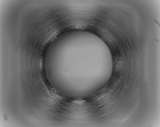 X0000098010595200804111235