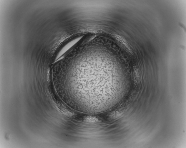 X0000098010596200804111235