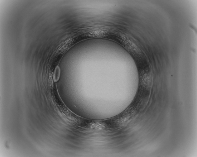 X0000098010599200804111235