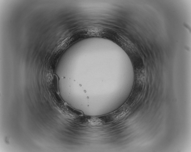 X0000098010603200804111235