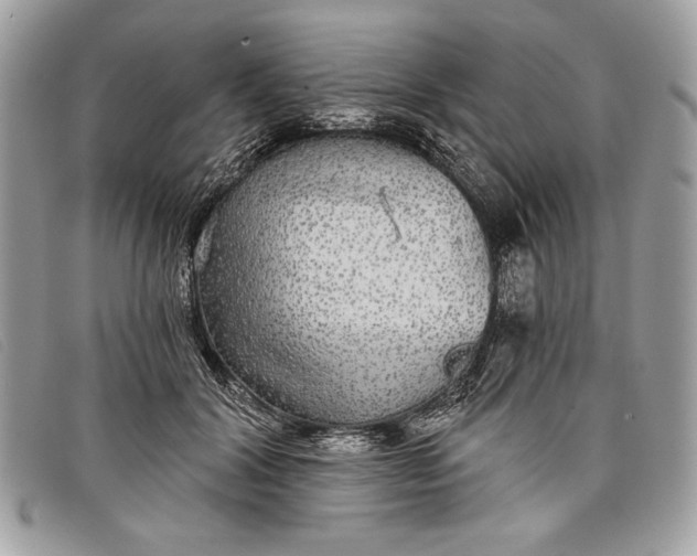 X0000098010604200804111235