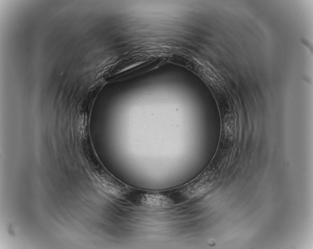 X0000098010605200804111234