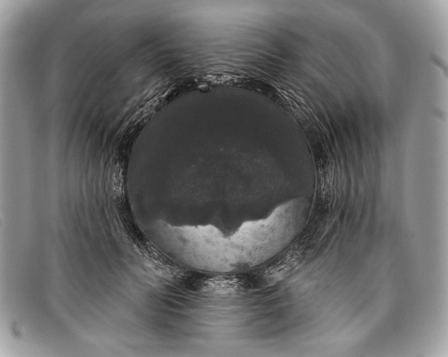 X0000098010606200804111234