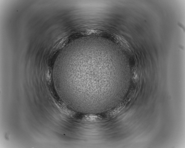 X0000098010607200804111234