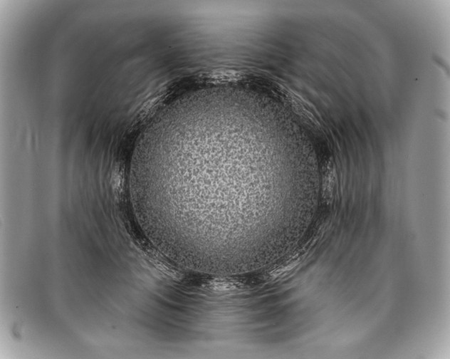 X0000098010608200804111234