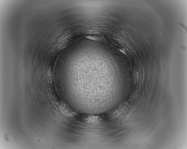 X0000098010609200804111234