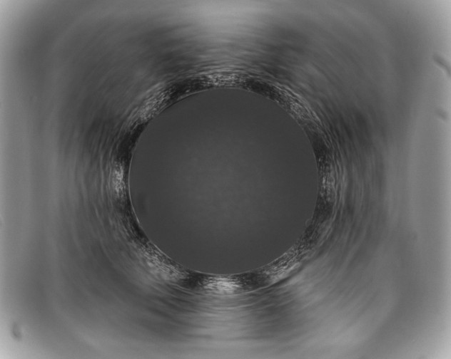 X0000098010610200804111234