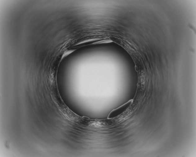 X0000098010611200804111234