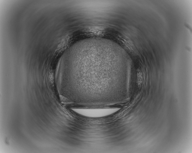 X0000098010613200804111234