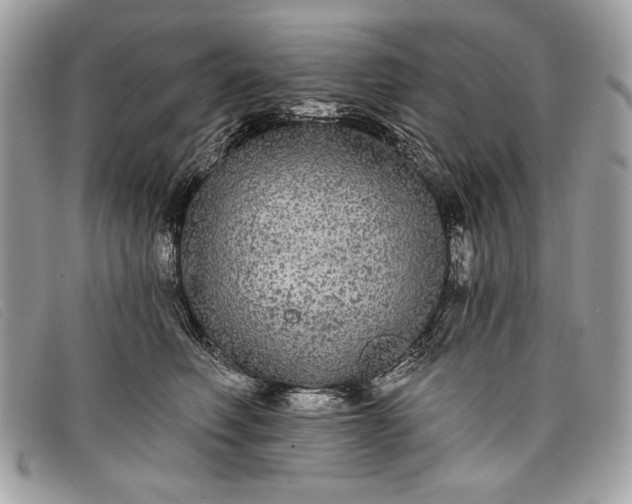 X0000098010614200804111234