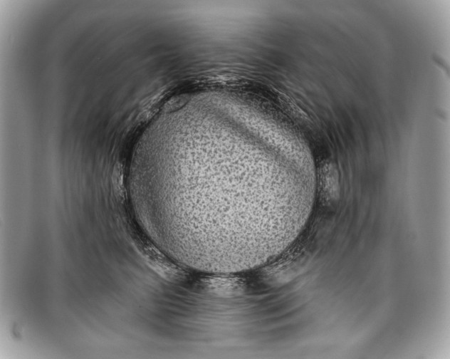 X0000098010615200804111234