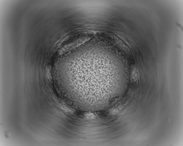 X0000098010616200804111234