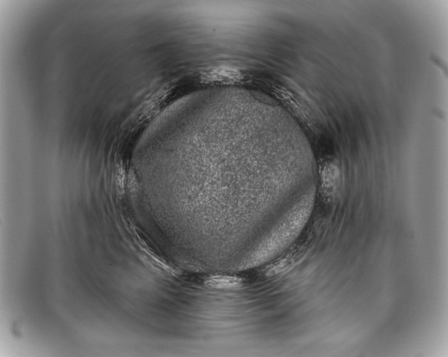 X0000098010617200804111234