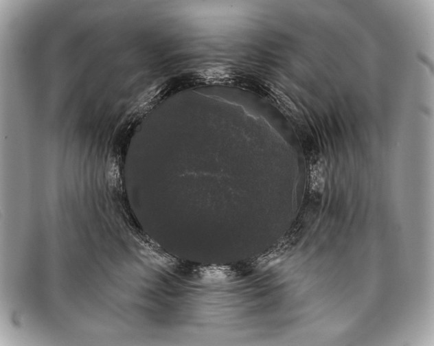 X0000098010618200804111234