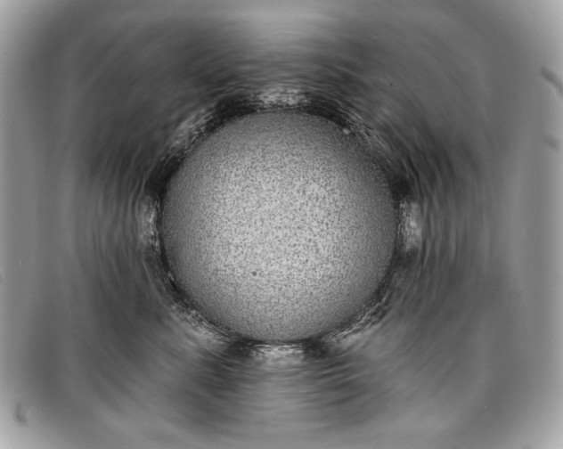 X0000098010619200804111234