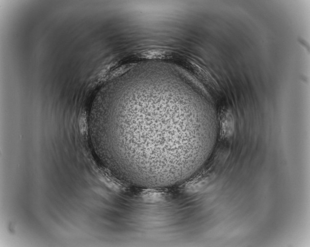 X0000098010620200804111234