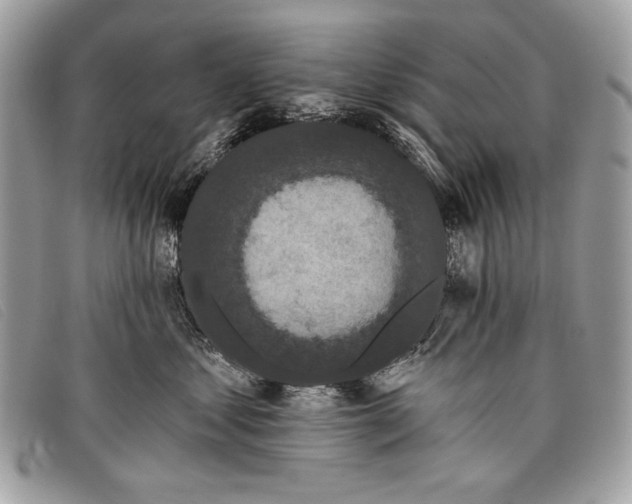 X0000098010621200804111234