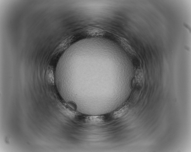 X0000098010622200804111234