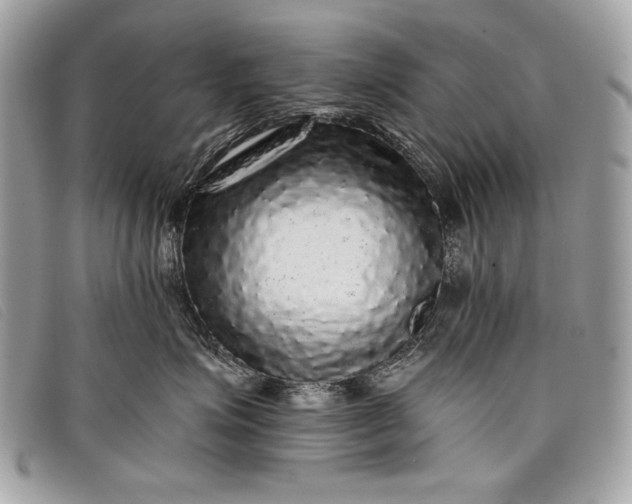 X0000098010623200804111234