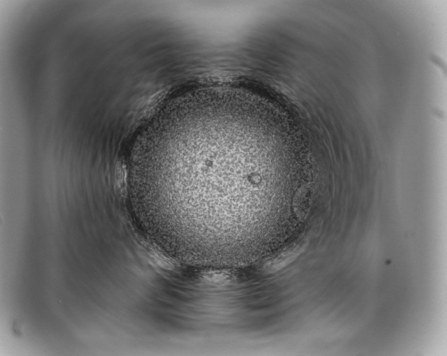 X0000098010624200804111234