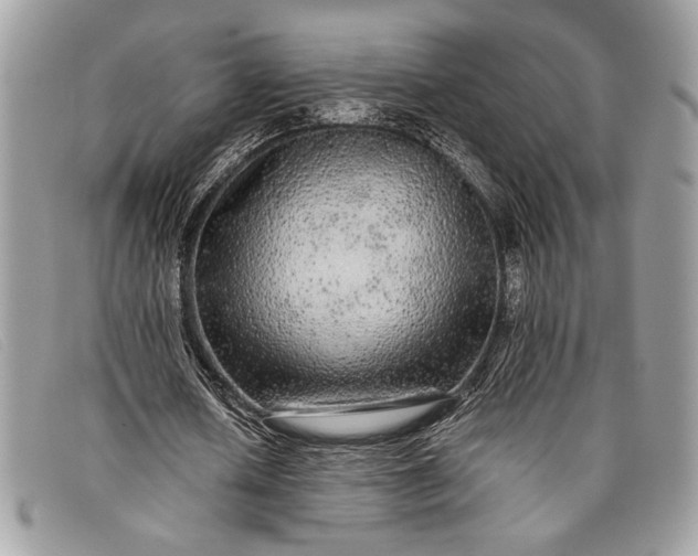 X0000098010626200804111233