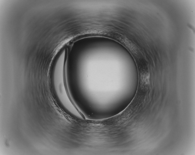 X0000098010628200804111233