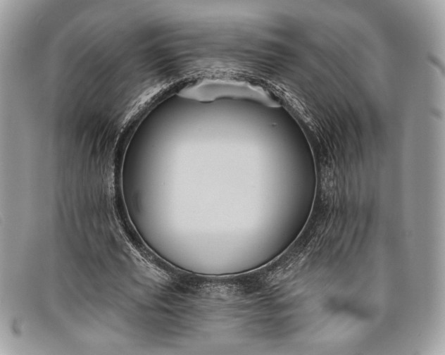 X0000098010629200804111233