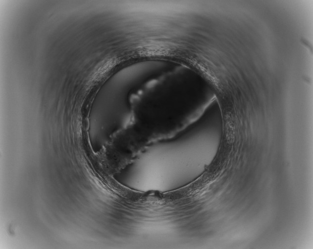 X0000098010631200804111233