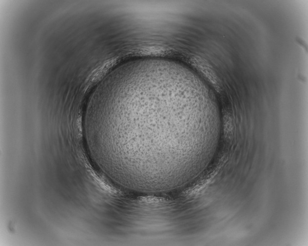 X0000098010633200804111234