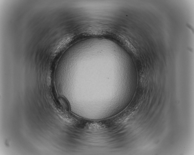 X0000098010635200804111234