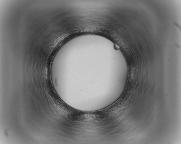 X0000098010636200804111234