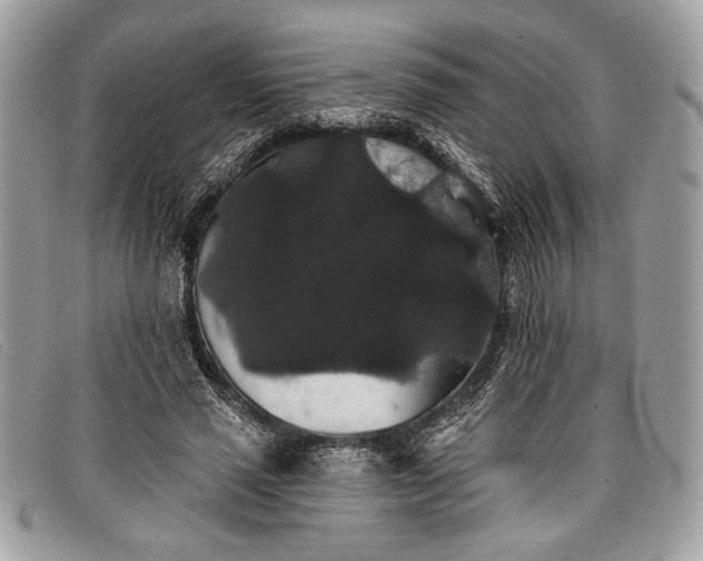 X0000098010637200804111234