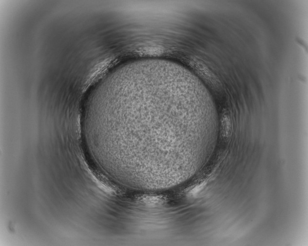 X0000098010638200804111234