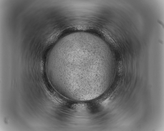 X0000098010639200804111234