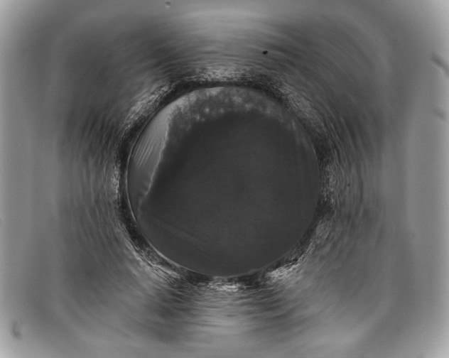 X0000098010640200804111234