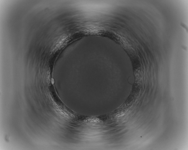 X0000098010642200804111234