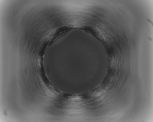 X0000098010643200804111234