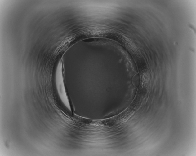 X0000098010644200804111234