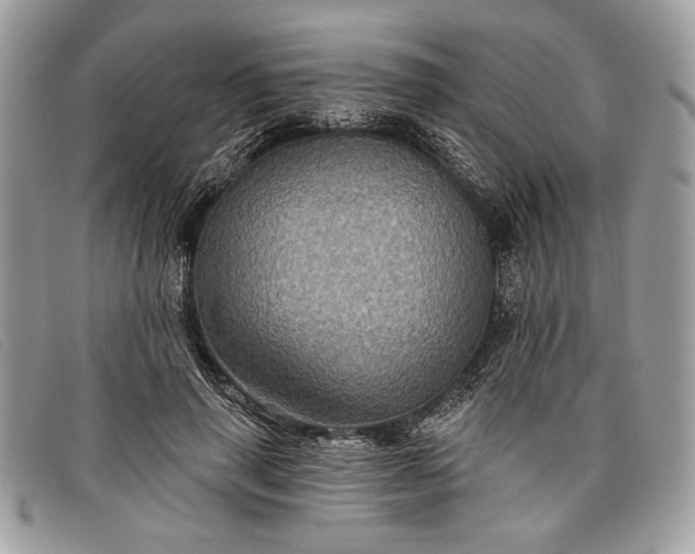 X0000098010645200804111234