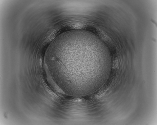 X0000098010646200804111234