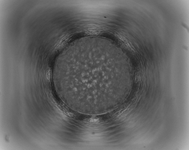 X0000098010647200804111234