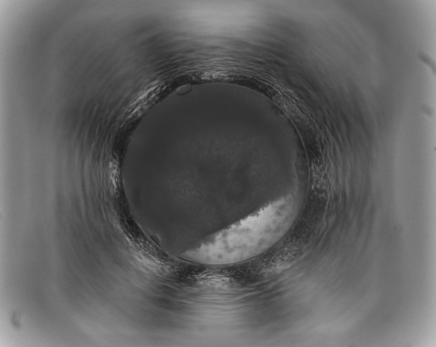 X0000098010648200804111234