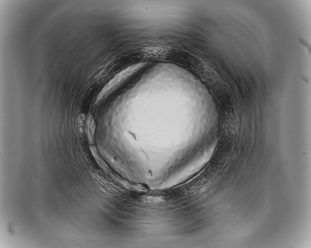 X0000098010649200804111234