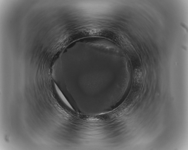 X0000098010650200804111234