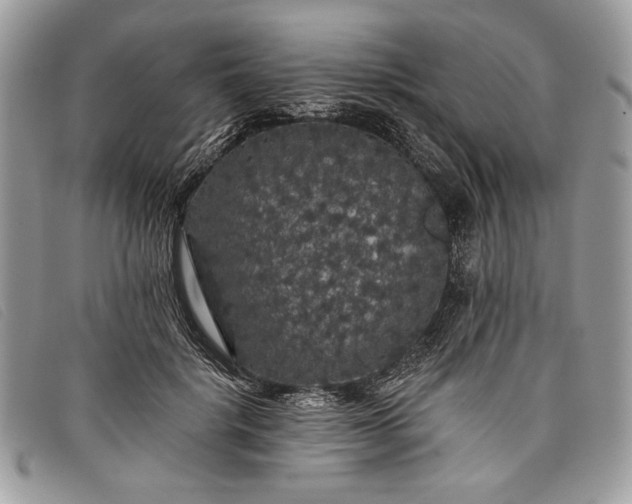 X0000098010652200804111234