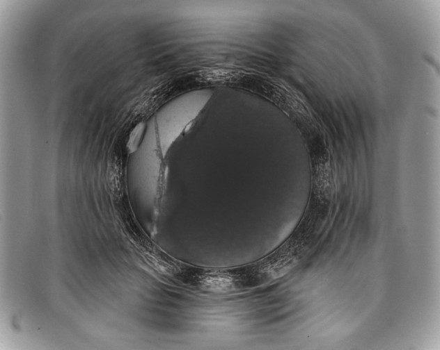 X0000098010653200804111234